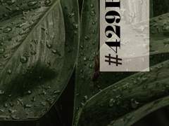 초록은 문득 그곳에 남아