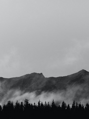 그들이 사랑하는 방식이란.