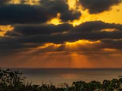 오키나와 네버랜드