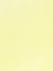 행복에 겨운 보통날