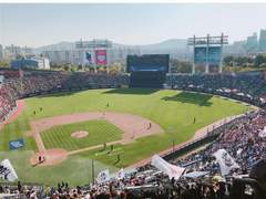 야구장 그 커플