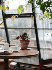 바다 위의 마법사