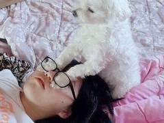 수의사도 퇴ㅅ사ㅂ가 되나요?