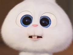 자고 일어났더니 내가 가이드?