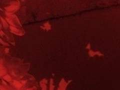 이제는 들어가지도 않는 음식을 입에 굳이 욱여넣으며