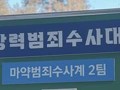 마약수사대에 디에타민,콘서타 구매하는 프로아나 신고한 후기