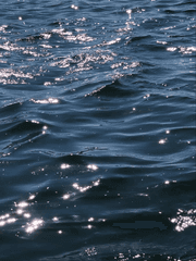 다음 생에도, 다음 생에는