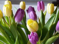 민시현 이라는 사람은..