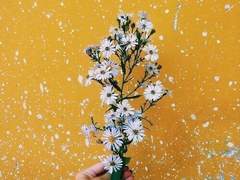 특수부 ALPHA팀 PROFILE