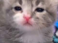 50에서 37까지 쉽게 뺀 법