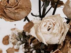 다복팔당多福八堂