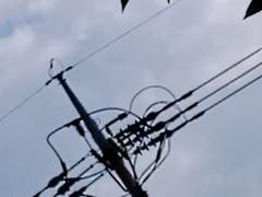 한솔 연 공식 프로필