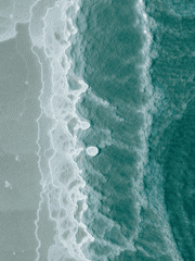 소설 타입 커미션