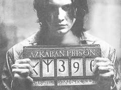 분리불안 시리우스 SSUL