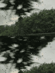 지나치게 동화 같은 이야기