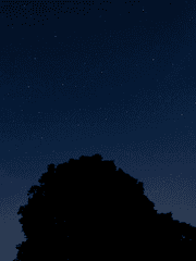 히키코모리의 사회성 극복기