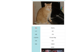 제로스퀘어를 이용하여 개인 자캐 위키틀 배포 + 만드는 법 정리