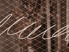 오즈의 마법사 : 에메랄드 포레스트