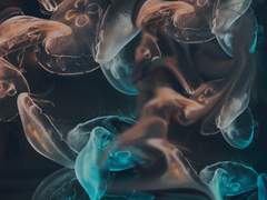 굶주린 자들의 게걸스러운 식사로 끝을 맺었습니다.