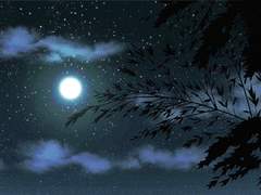 [주술회전] 달빛이 내린 밤