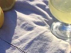 망념의 끝에서 고통을.