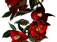 동백꽃 이미지 배포