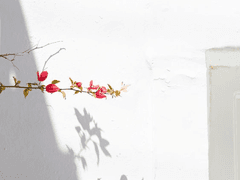 친애하는 일라이