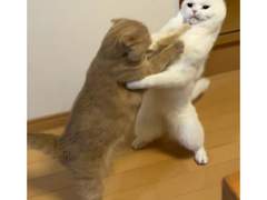 北河三/chapter03/什么叫美救英雄啊