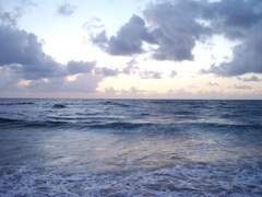 인어의 푸른 심장