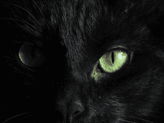 [범천드림] 하우스 메이트 03