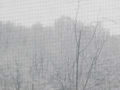 눈이 온 아침에