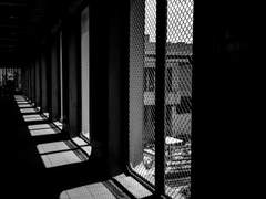 속 편한 아름다움