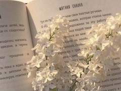 추억의 한 조각