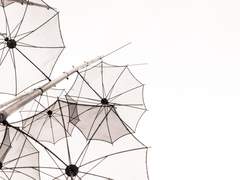 화이현은 어느날 자신이 __라는 걸 깨닫게되었다