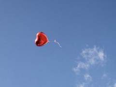 사랑은 거짓말쟁이 08