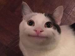 그저 그런 회귀물 1화