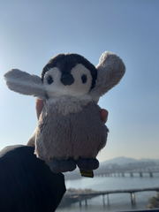 영양가 1도 없는 사담