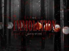 티알 전용 사진