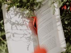 유메자와 후유키 19