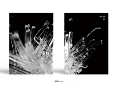 Sold out. 생의 파편