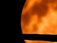 베아트리스 쥬드 / XY / 18