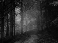 『퀸튼 저택 고용인 업무 지침』