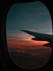 [행루] Ask you out