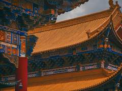 [선령] 자유의 방법