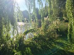 V가 사는 신기루