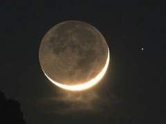 레이몬드에서 가장 결혼 하고 싶은/하기 싫은 캐릭터 순위