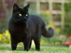 [현대AU] 미식축구 선수 리프탄 & 서점 알바 맥시밀리언 (2)