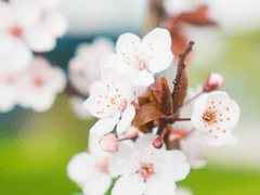 화산귀환X전독시 1편