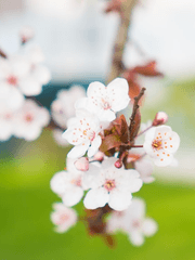 화산귀환X전독시