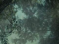 느릅나무 밑의 욕망 上